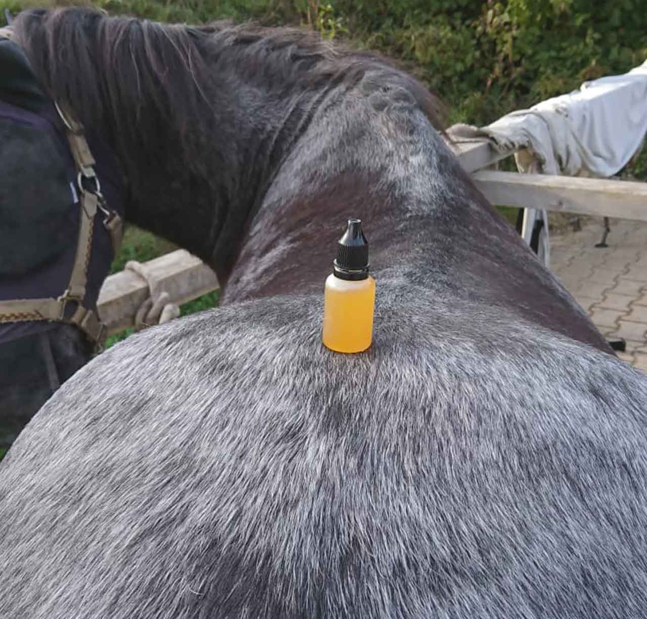 Wichtige Info
über die Regeröl Produkte