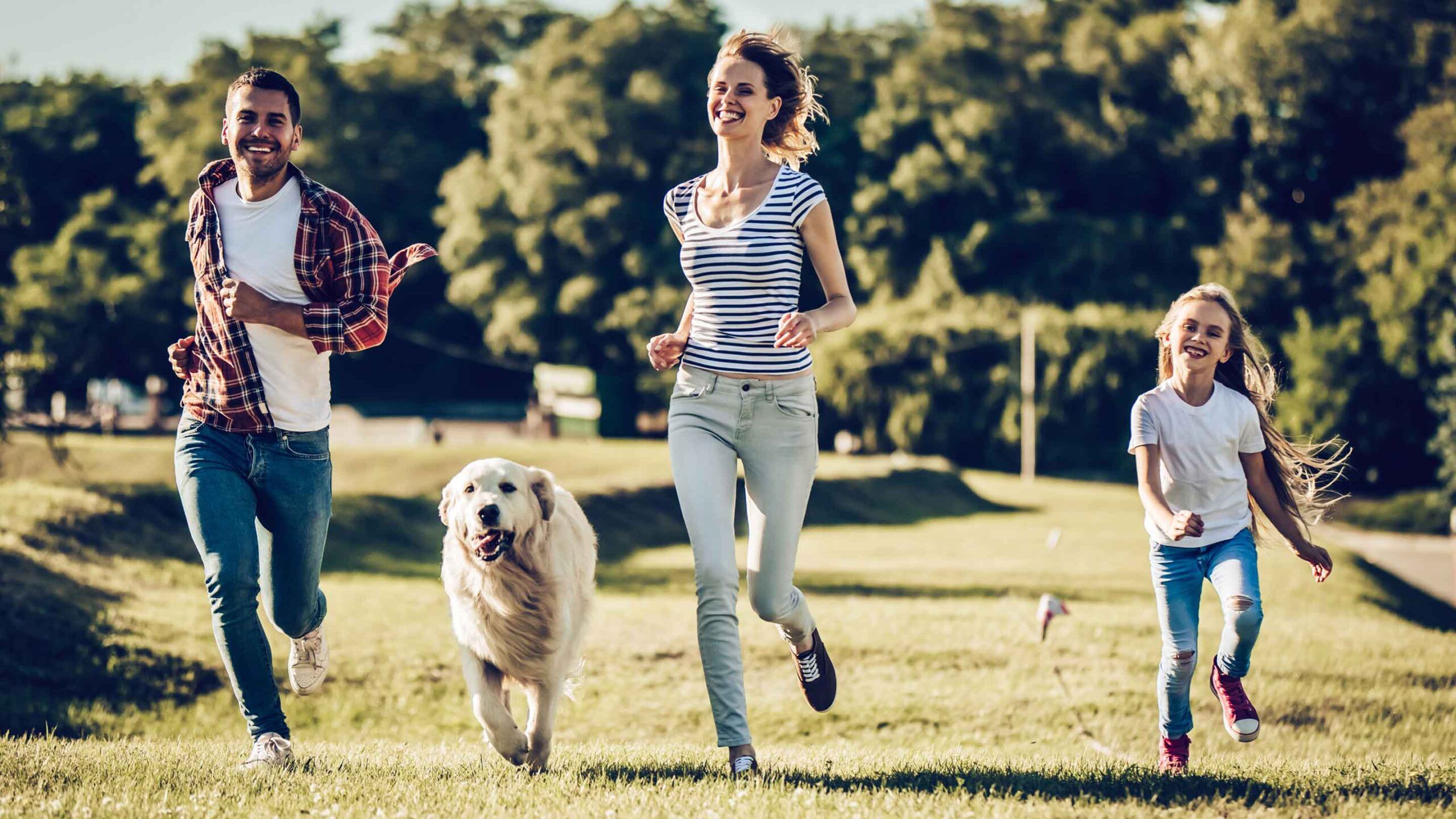 Familie mit Hund in der Wiese