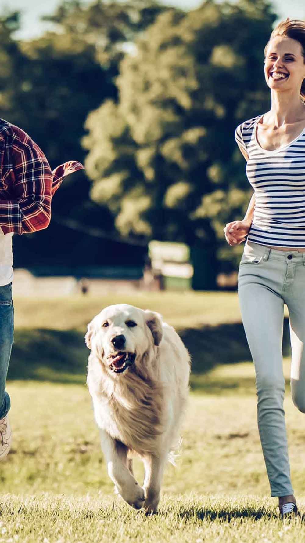 Familie mit Hund in der Wiese